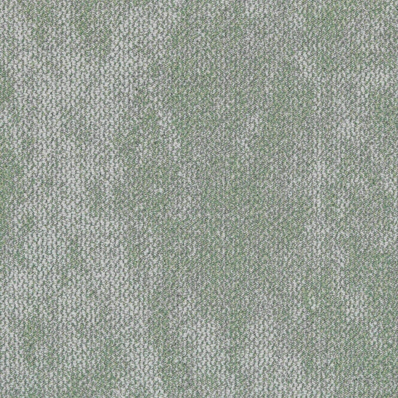 LandBrocade200